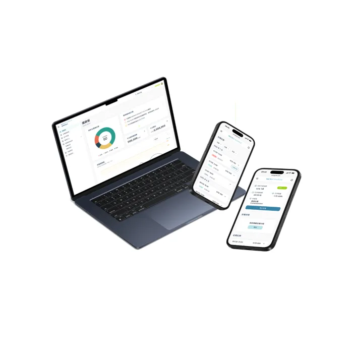 Skwentex Energy_Electric Vehicle Charging Solutions